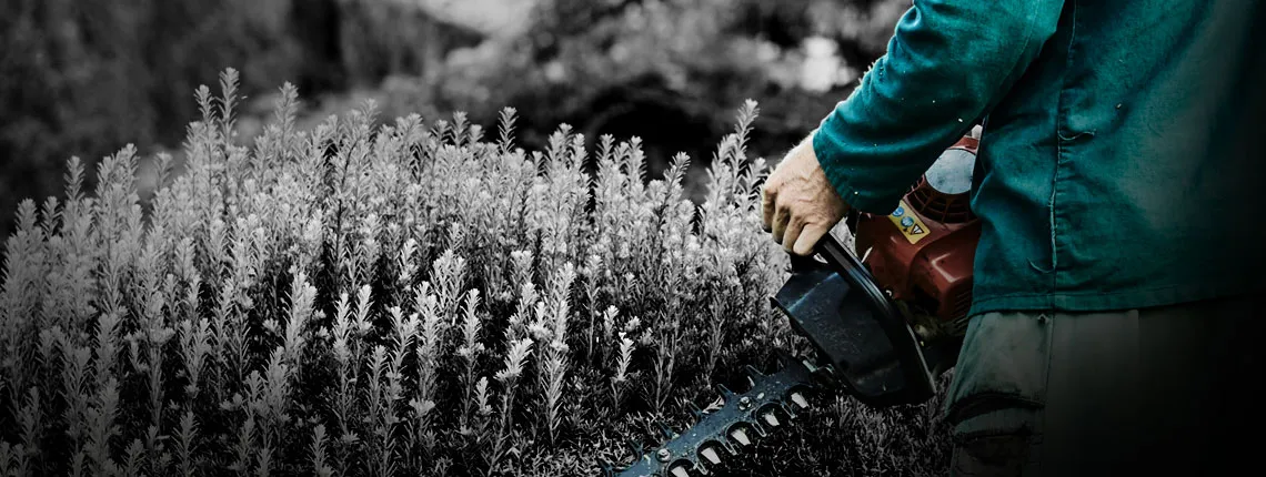 ČMKOS - stronger together