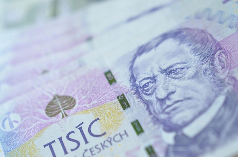 Úvodní poznámky k předloženému návrhu státního rozpočtu na rok 2025